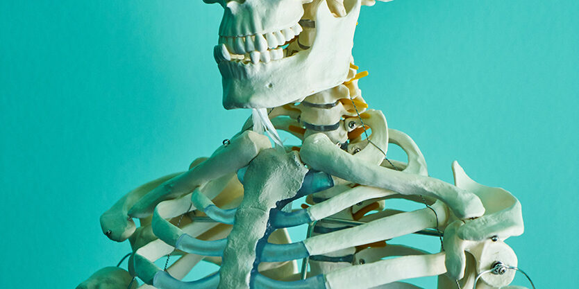 pexels-enginakyurt-2678059